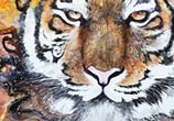 Tiger watercolor by Art Jongkie