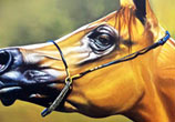 Brown Horse painting by Ayman Arts