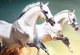 Realistic Horse painting by Ayman Arts