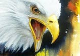 Eagle painting with oil by Ayman Arts