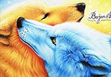Wolf Love color drawing by Bajan Art