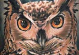 Owl tattoo by Benjamin Laukis