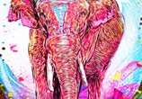 Pink elephant by C215