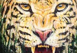 Jaguar splatter painting by Dino Tomic