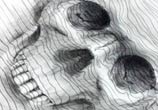 Skull sketch by Dino Tomic