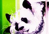 Sleeping panda mixedmedia by Fhero Art
