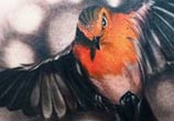 Bird tattoo by Ivan Trapiani