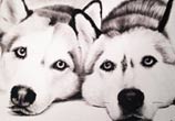 Two Dogs drawing by Jonathan Knight Art