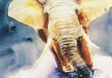 Weightless Elephant painting by Jonathan Knight Art