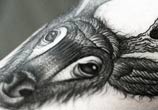 Deer dotwork tattoo by Kamil Czapiga