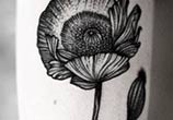 Flower dotwork tattoo by Kamil Czapiga