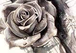 Rose design drawing by Katy Lipscomb Art