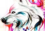 Watercolor wolf design color drawing by Katy Lipscomb Art