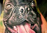 Doggy tattoo by Led Coult