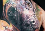 Doggy portrait tattoo by Led Coult