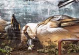 Dead birds streetart by Lonac Aart