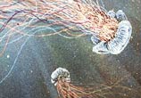 Two Jellyfish painting by Lukas Lukero Art