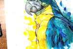 Parrot watercolor painting by Miriam Galassi
