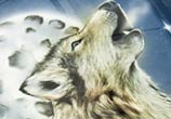 Howling Wolf Airbrush by Mr Shiz