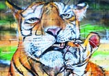 Tiger street art by Mr Shiz