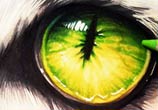 Creature eye Drawing by Naschi
