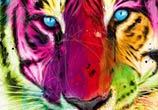 Tiger mixedmedia by Patrice Murciano