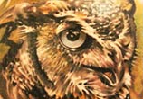 Owl 2 tattoo by Sergey Shanko