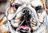 Dog painting by Surbina Psychobilla