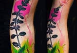 Color plant tattoo by Timur Lysenko
