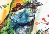 A lovely Bee eater watercolor painting by Tony Ronnebeck