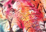 Final Elephant watercolor painting by Tori Ratcliffe Art