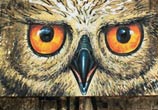Owl self streetart by Wild Drawing